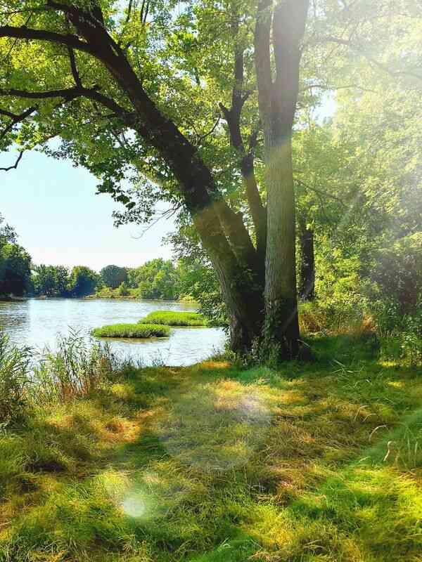 Peisaj luminos și liniștit în natură, cu tonuri albe și verzi discrete